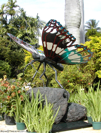 SolarButterfly200